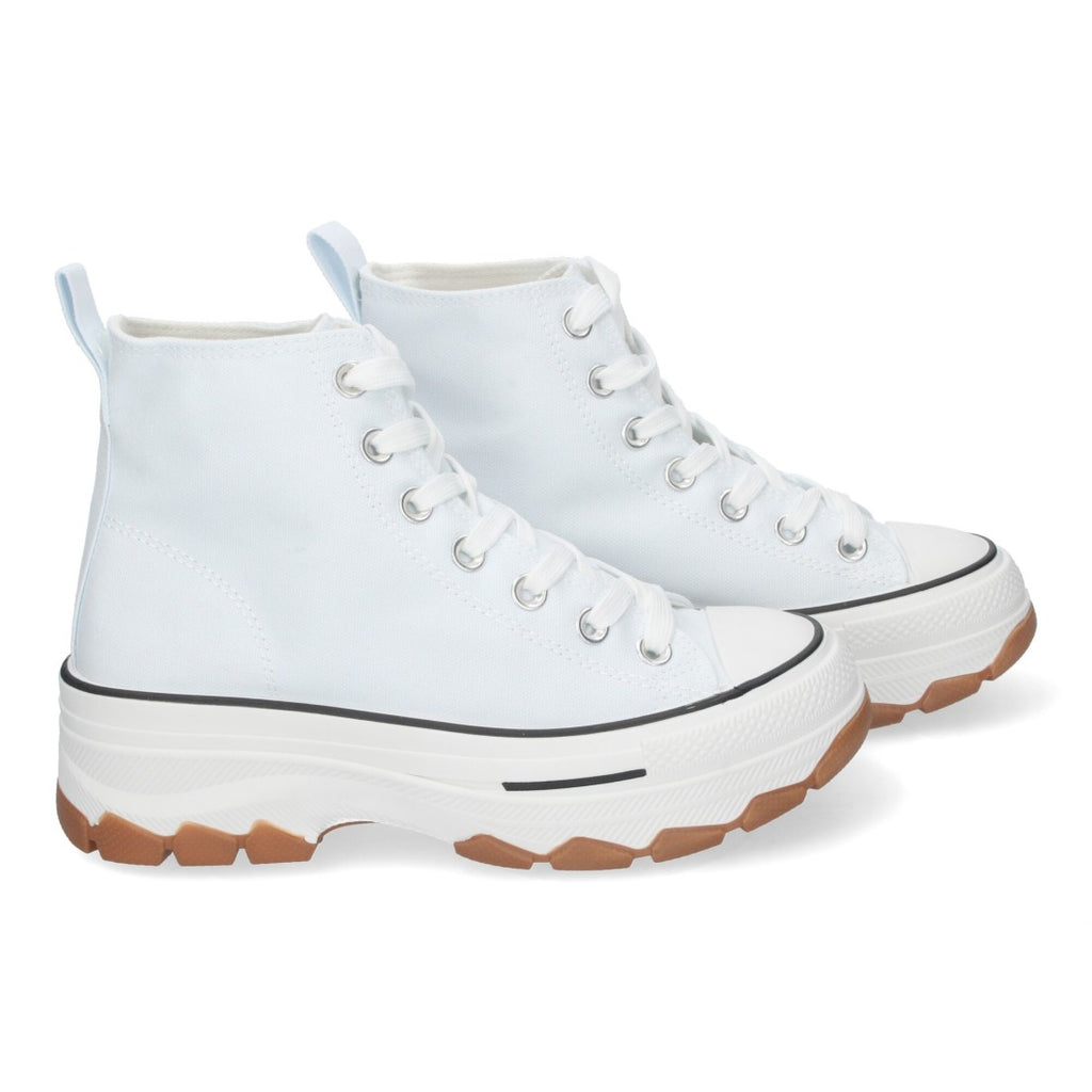 EV-100-Hielo